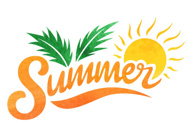 Read more about the article Summer Has Arrived!